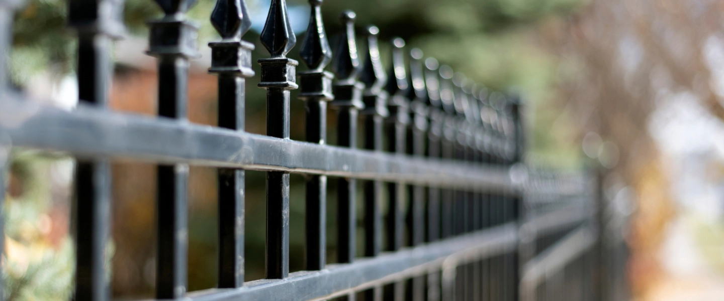iron fence close up beech grove in